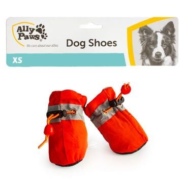 10813 Ally Paws Köpek Ayakkabısı Mix Color (XS) 4'lü