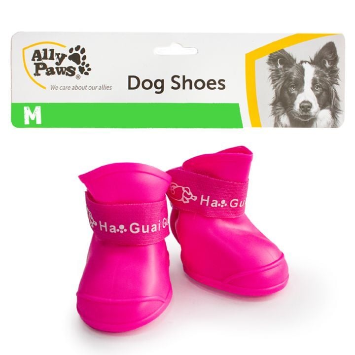 10806 Ally Paws Köpek Ayakkabısı Mix Color (M) 4'lü